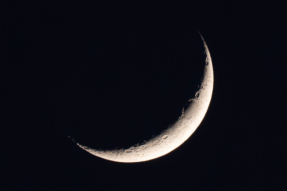 The soil on the Moon could support life, scientists say