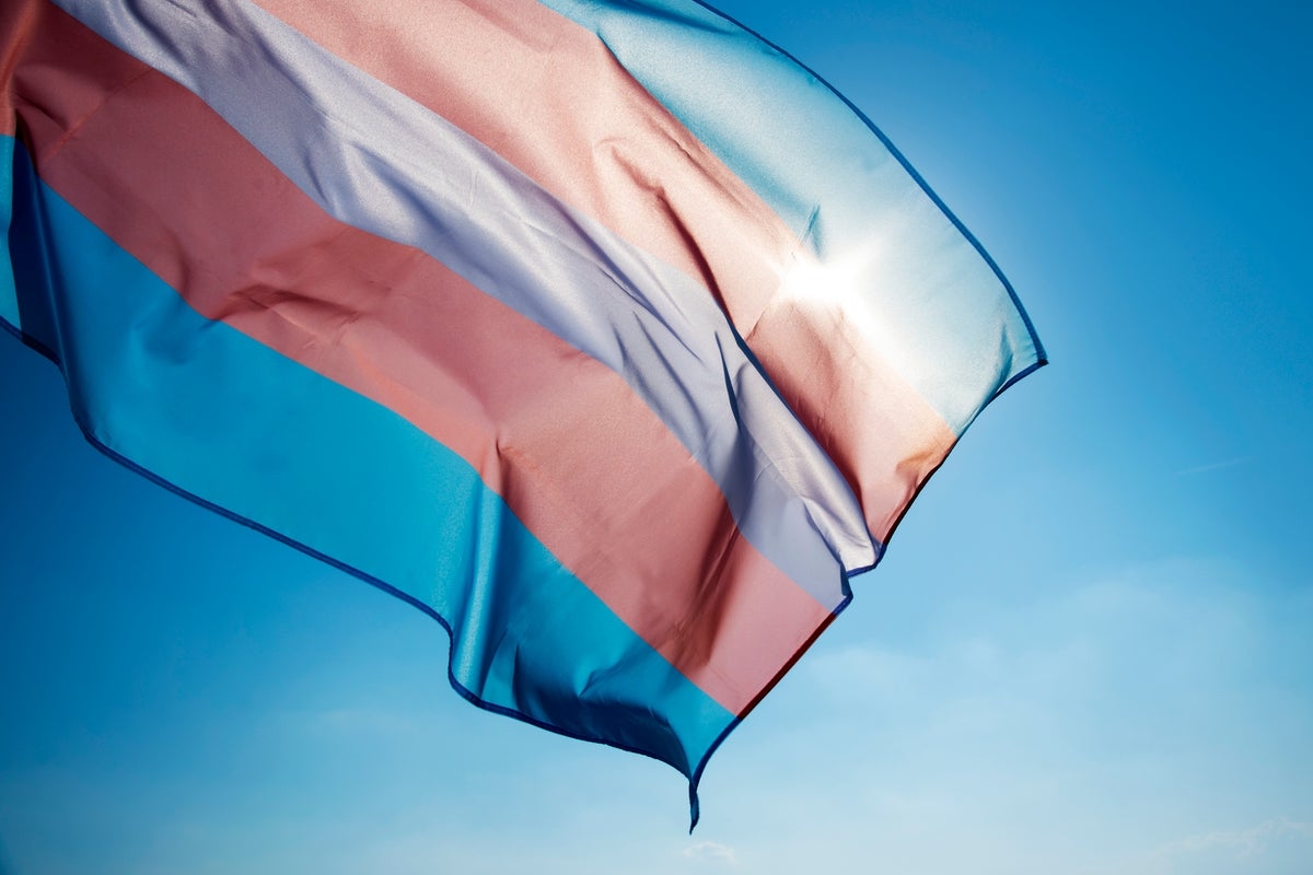 Trans women to be banned from single-sex spaces under new EHRC guidance