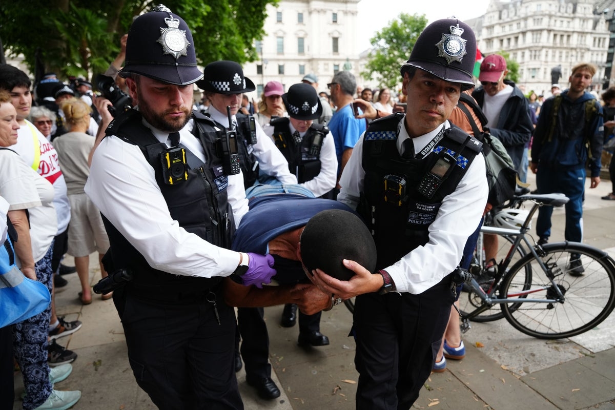 Multiple arrests at Palestine Action protest after group banned by government