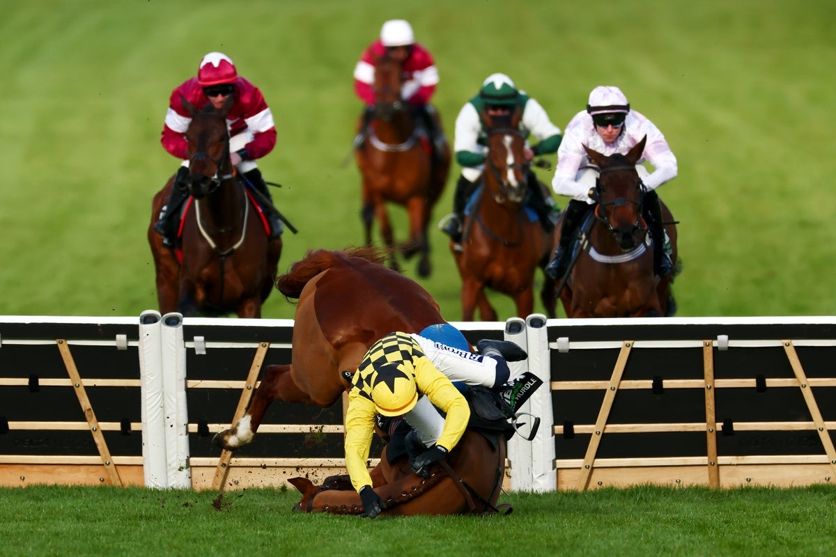 Cheltenham Festival LIVE: Day 2 tips and latest odds after major upset on first day of races