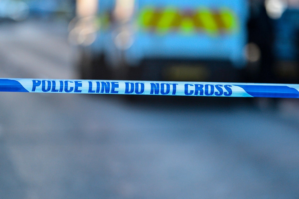 Public warned as petrol bombs thrown at police during disorder