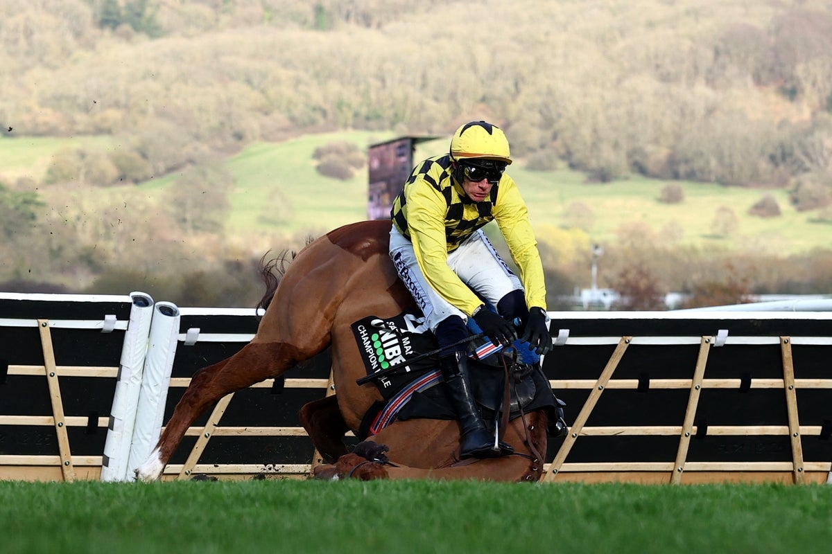 Cheltenham Festival LIVE: Day 1 results as Constitution Hill falls in Champion Hurdle; Day 2 tips and odds