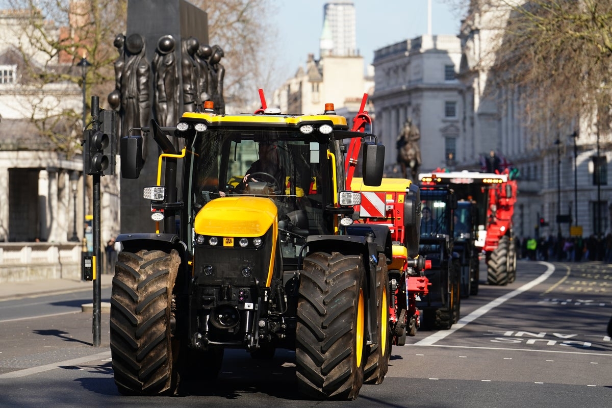 Farmers' protest live: Protesters say ‘no pancakes without us' on tractor tax march in London