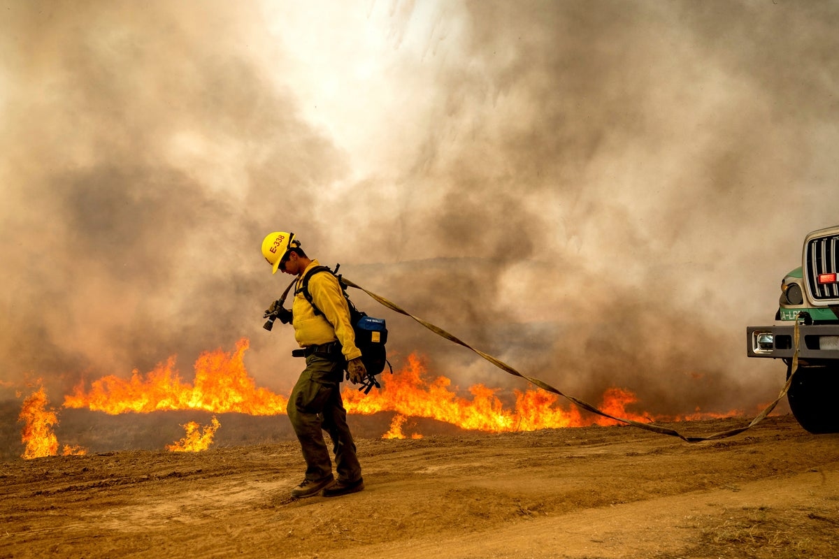 California's Madre Fire surges across 52,000 acres to become state's biggest blaze this year