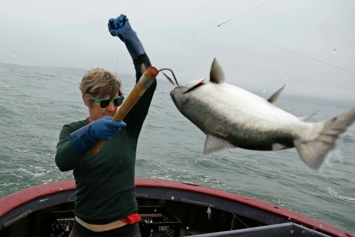 Californian salmon industry suffers despite Trump promise to put ‘people over fish'