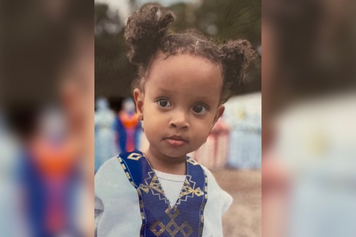 Family of 2-year-old who died from reaction to ant bites sues hospital for ‘inexcusable' treatment
