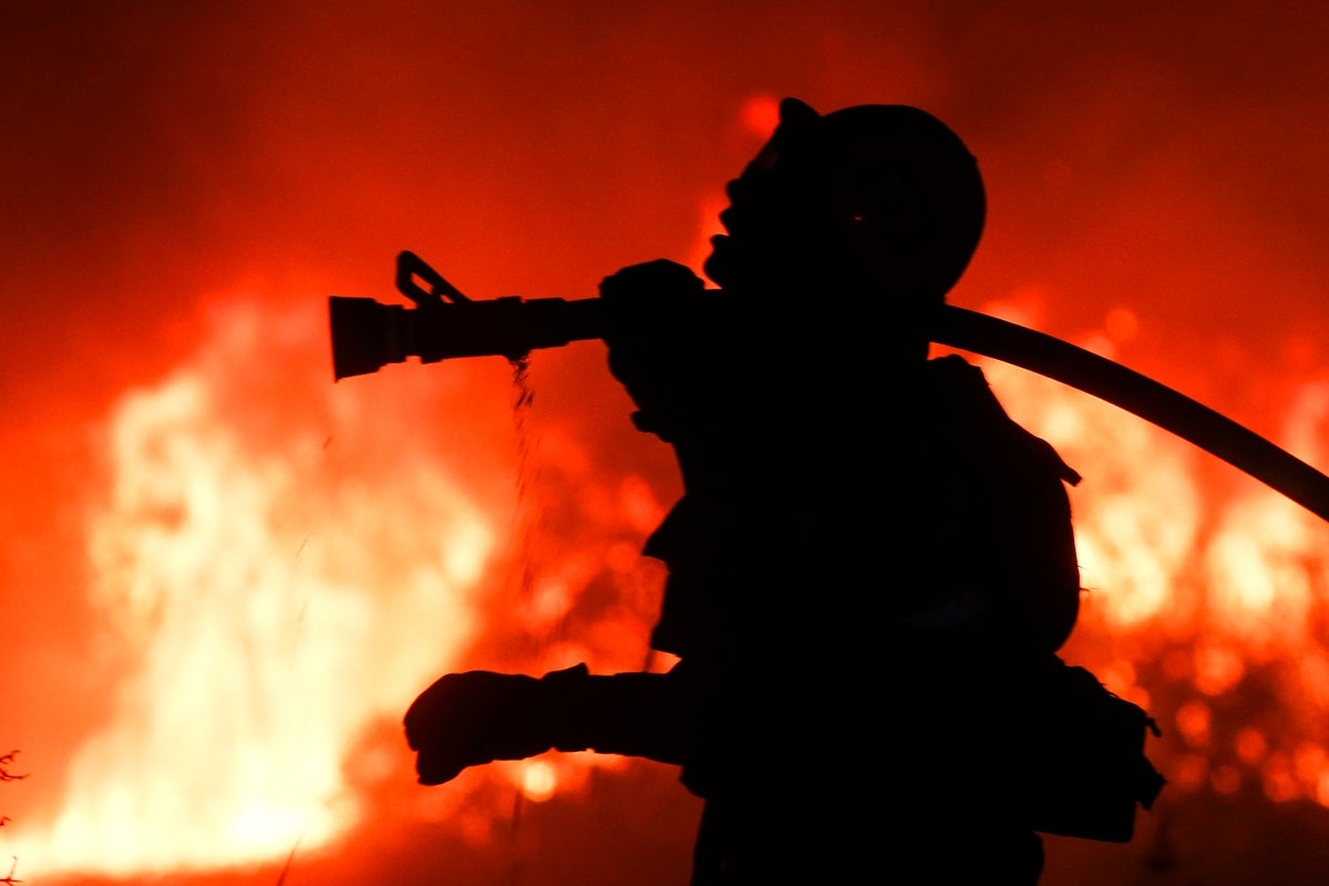 Wildfire smoke and prescribed burns caused 20,000 early deaths and billions in damages in just one year