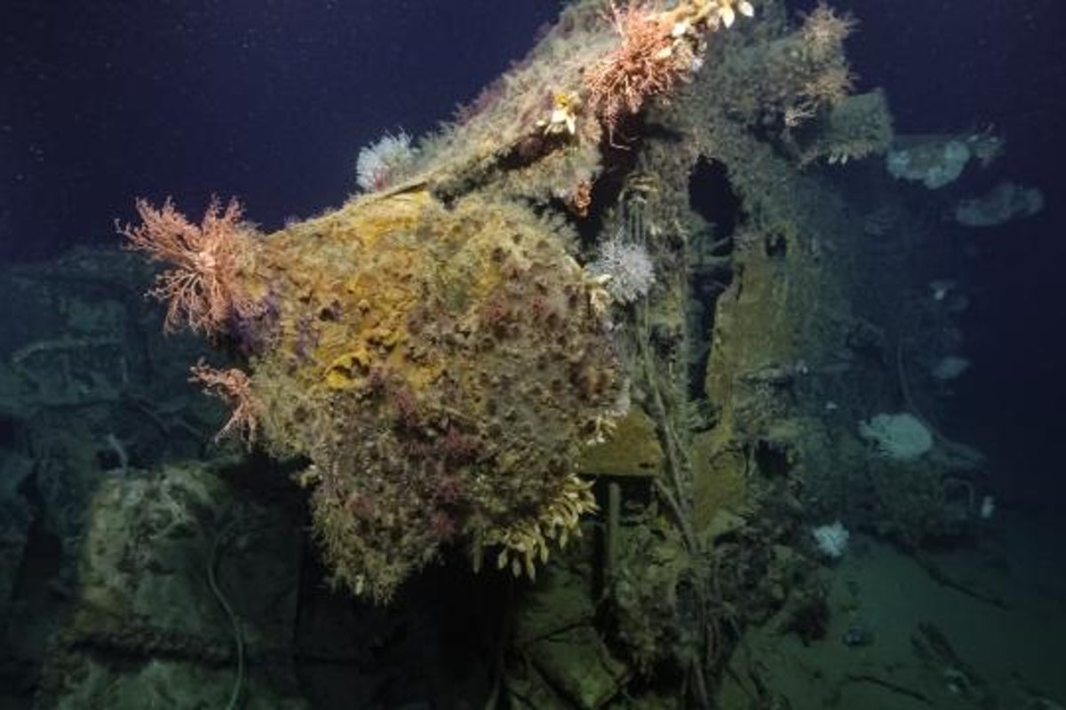 New ocean expedition captures images of 13 WWII shipwrecks from major naval battles