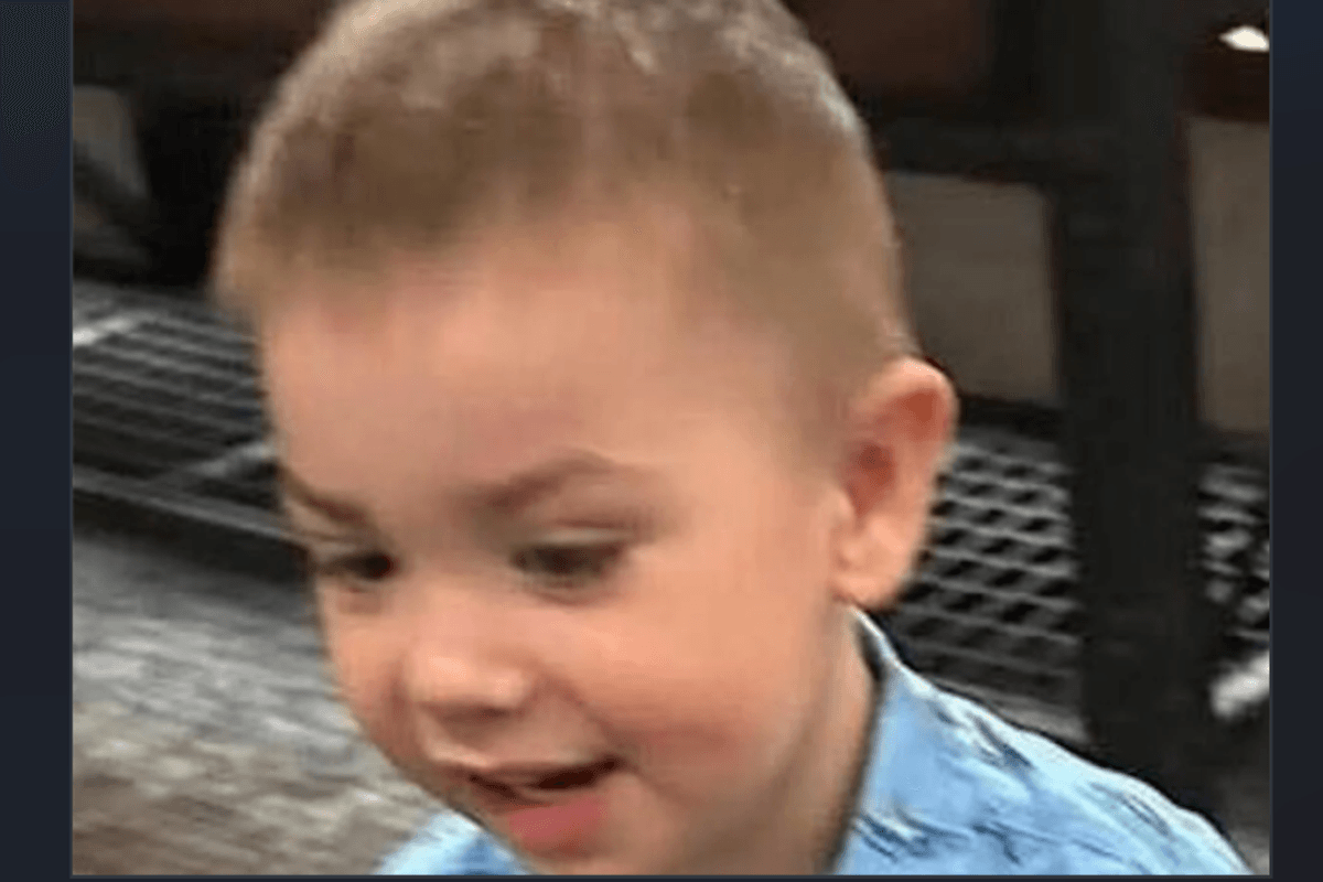 Hundreds frantically search for 2-year-old boy who vanished while playing in his front yard