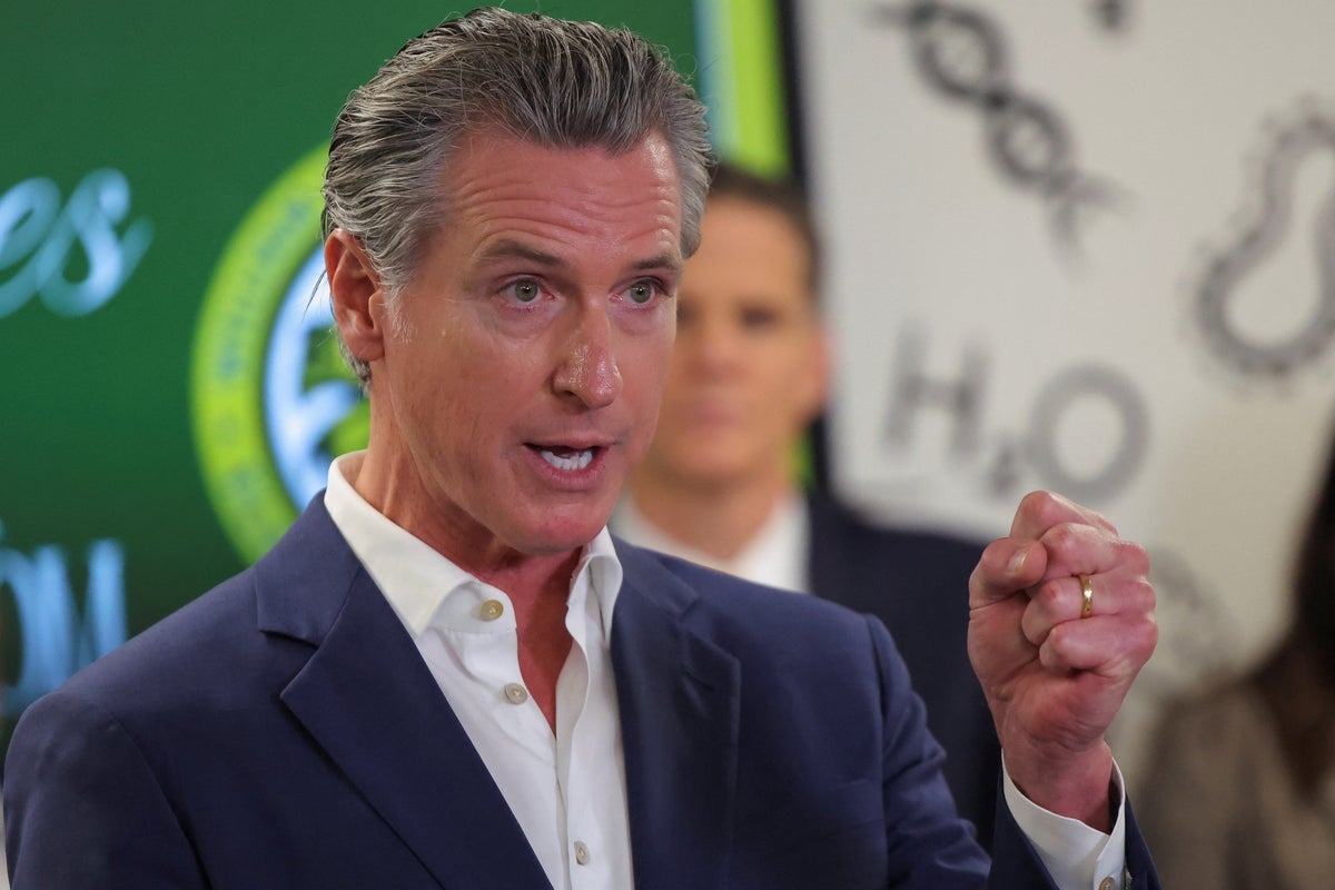 ‘He is unhinged, and he's acting recklessly': Newsom says two branches of government are already lost to ‘Trumpism'