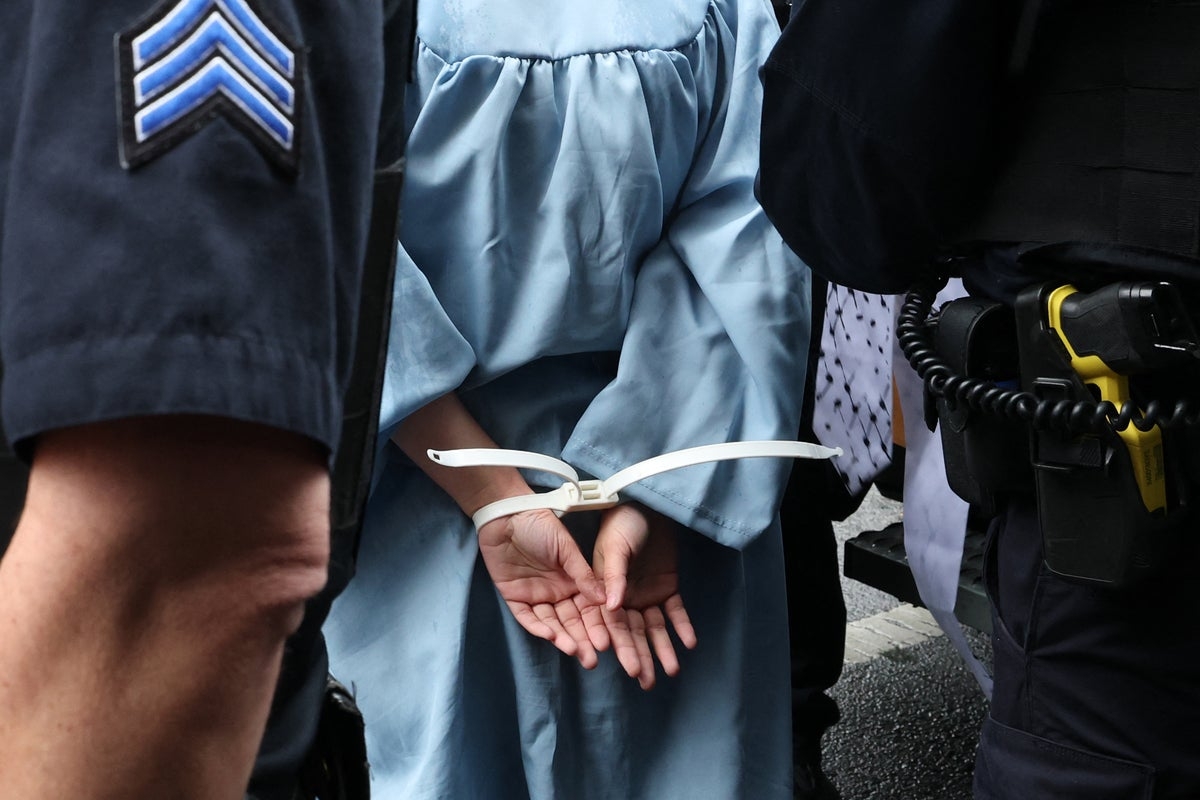 ‘I'm willing to do it again': The students who could lose their diplomas due to pro-Palestinian activism on campus