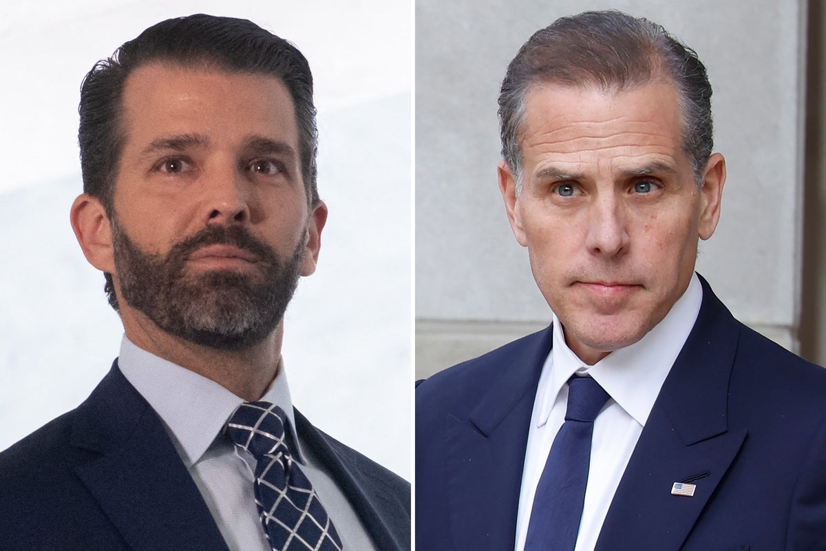 Donald Trump Jr slams report comparing him to Hunter Biden over business dealings