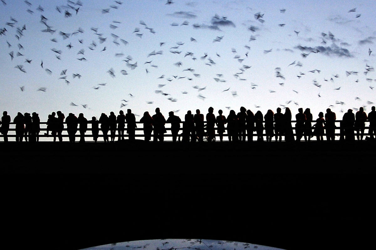 What goes ‘bump' in the night is actually helping to ensure humanity's survival