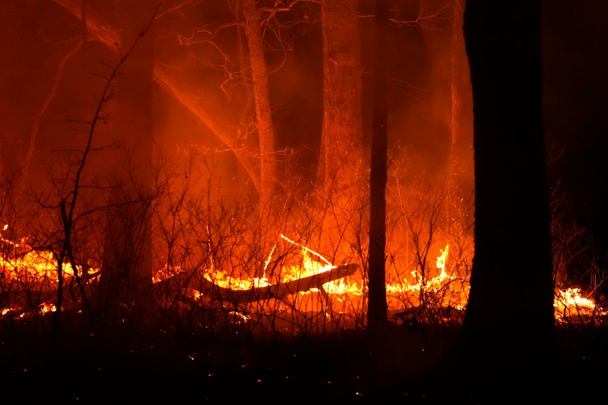 New Jersey faces biggest wildfire in 20 years as more than 11,000 acres burn. Here's what we know