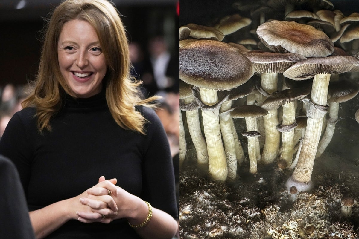Trump's Surgeon General pick credits magic mushrooms with helping her find love. Here's what to know about the psychedelic drug
