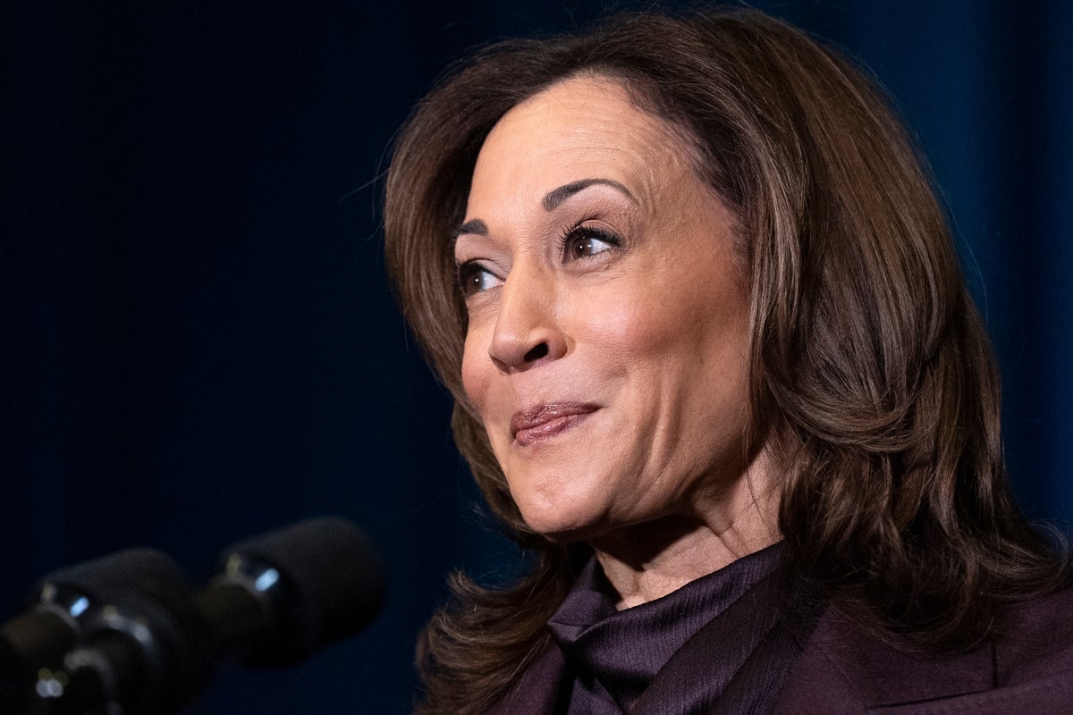 Kamala Harris flames Trump tariffs as ‘greatest man-made economic crisis in modern presidential history'