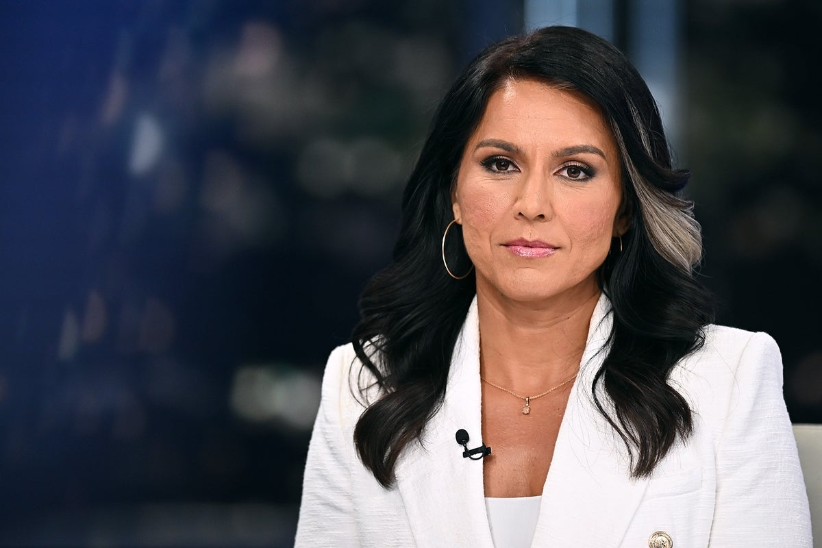 Gabbard sets up DOGE-style team to weed out ‘weaponization' in national intelligence