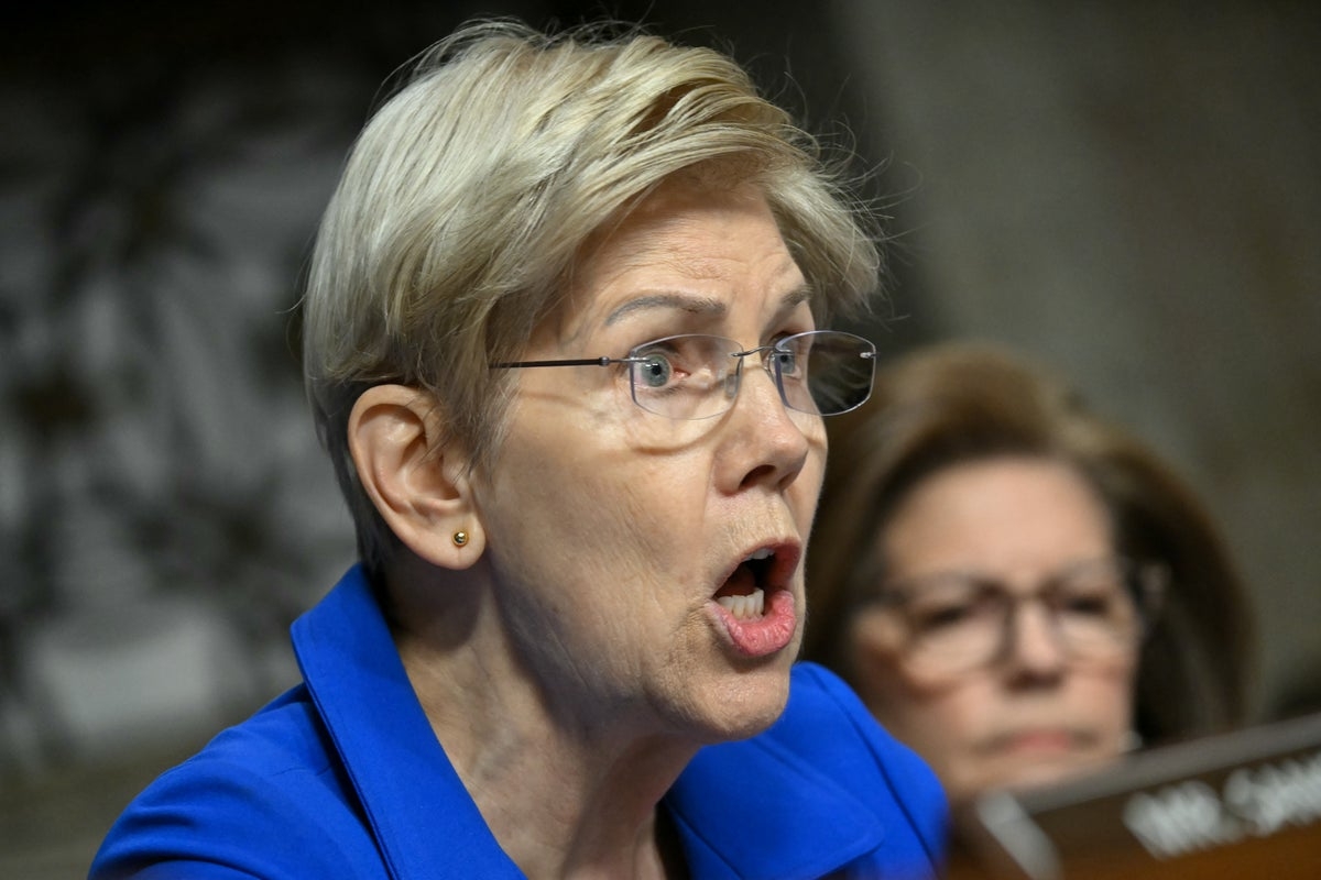 Elizabeth Warren claims Musk enriched himself to the tune of $100B during his time in the White House