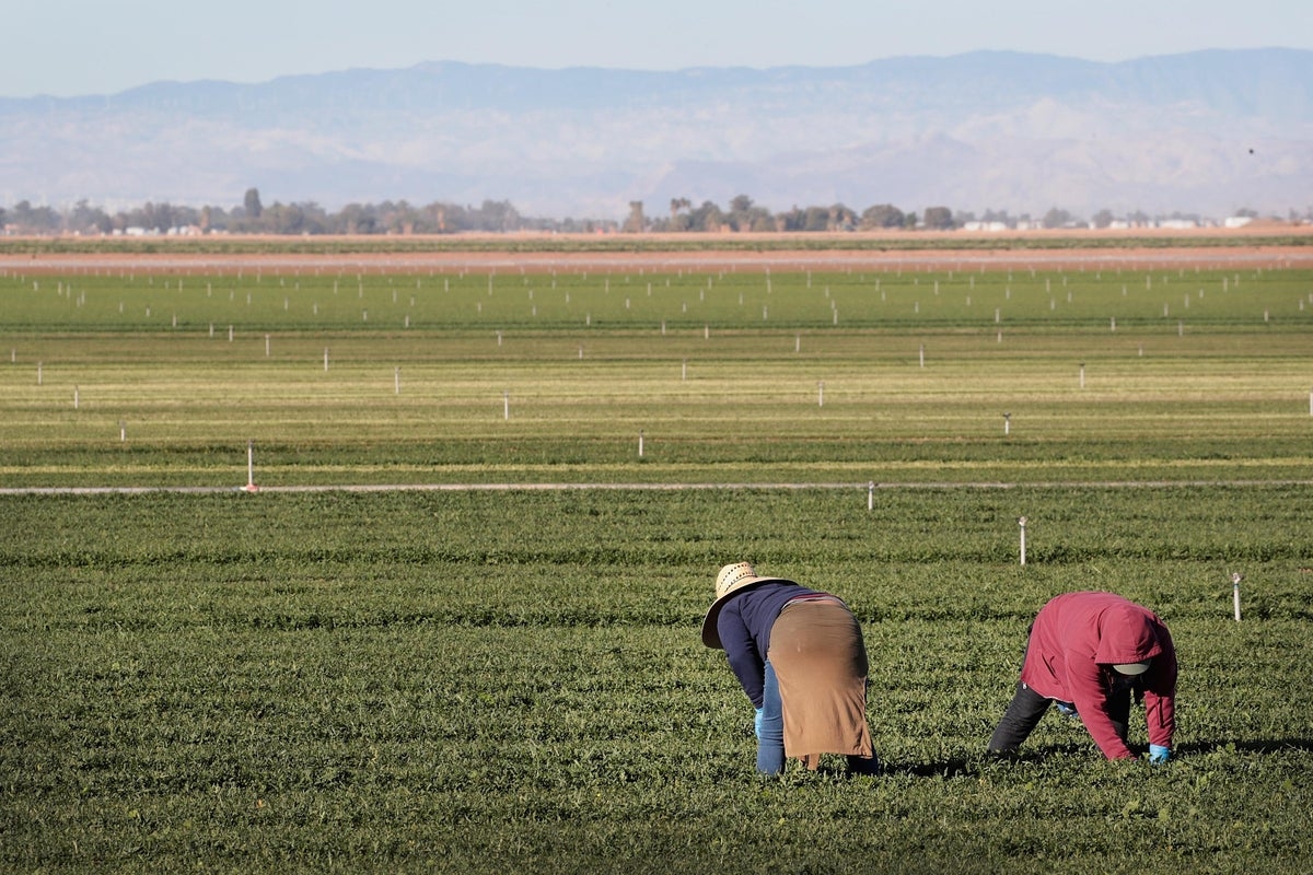 These foods are new to the ‘dirty dozen' list of those with pesticide residue