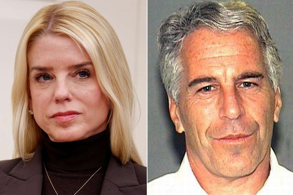 Pam Bondi ‘could have tried Epstein' while Florida AG, law professor says