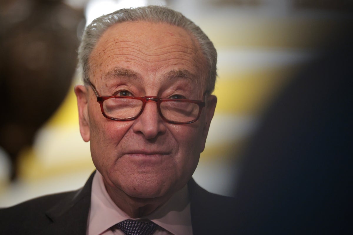 Chuck Schumer believed Republicans would dump ‘turd' Trump after 2020 and return to Bush's party, book claims