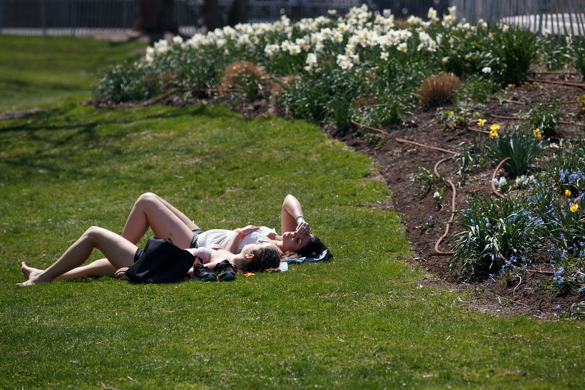 Here's why you should catch some rays this summer