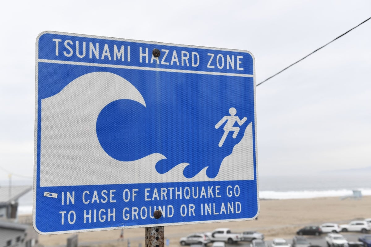 Scientists warn if a 1,000-ft ‘mega-tsunami's spurs from an active fault line it could wipe part of America off the map