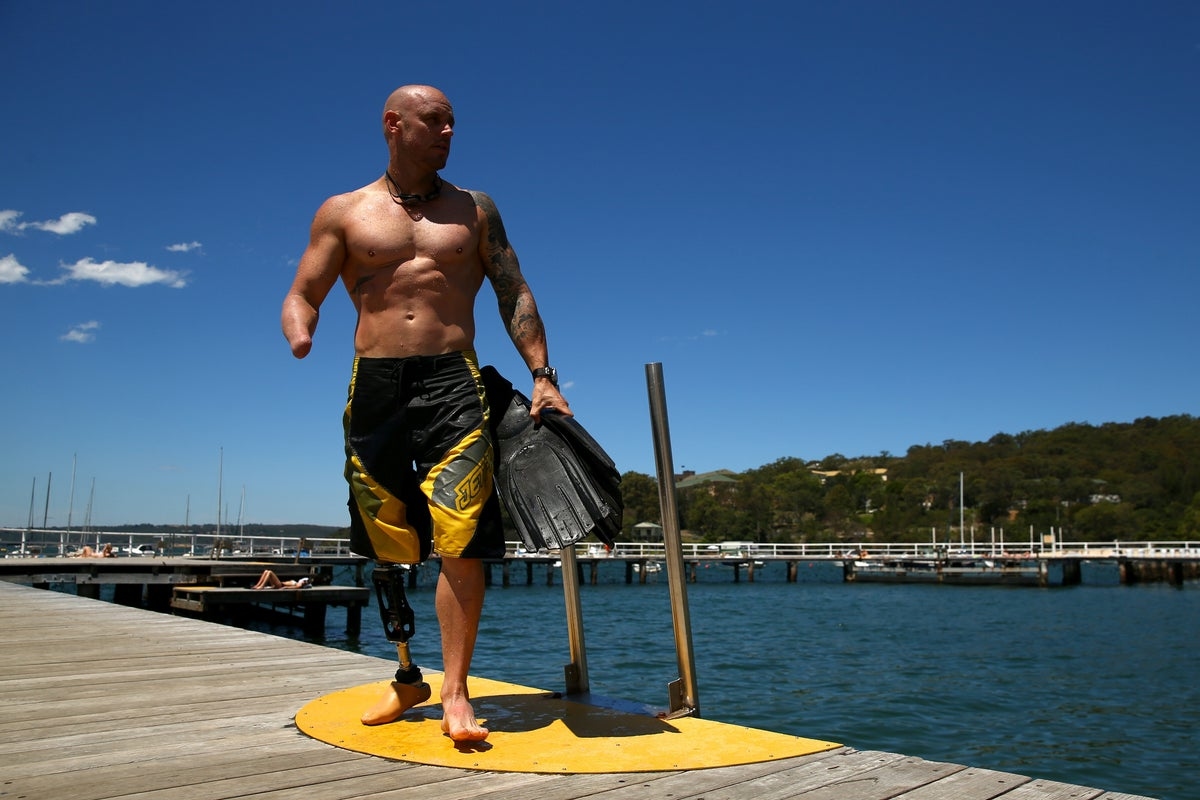 A shark attack survivor says to do this if you come face to fin with a great white