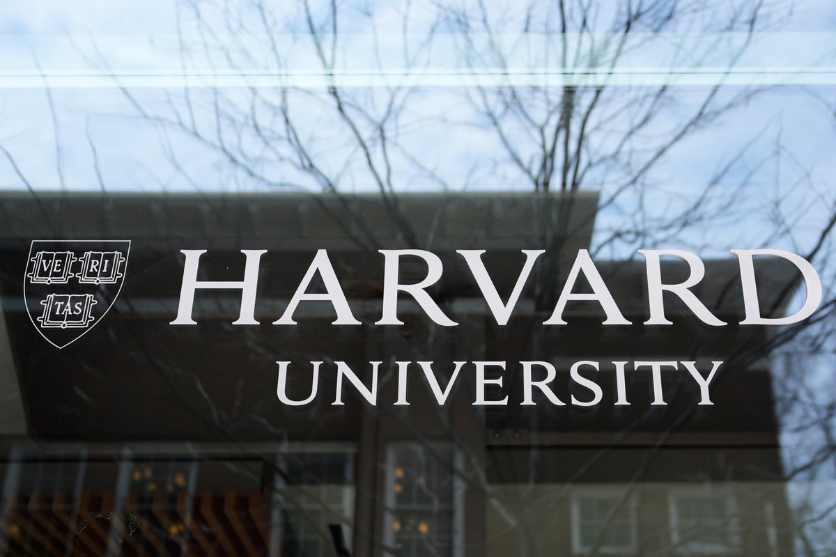 ‘I have no criminal record': Harvard grad brought to US as child self-deports to Mexico