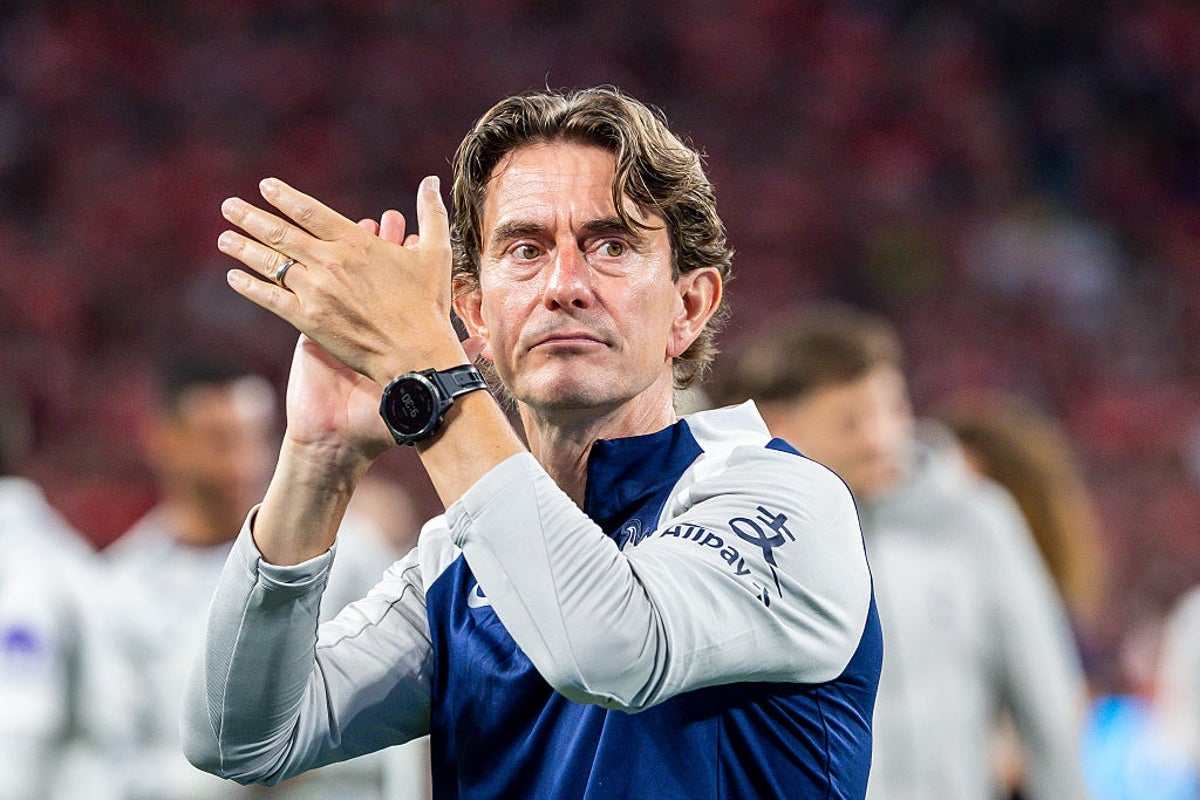 Thomas Frank issues Tottenham transfer market update after James Maddison ACL injury
