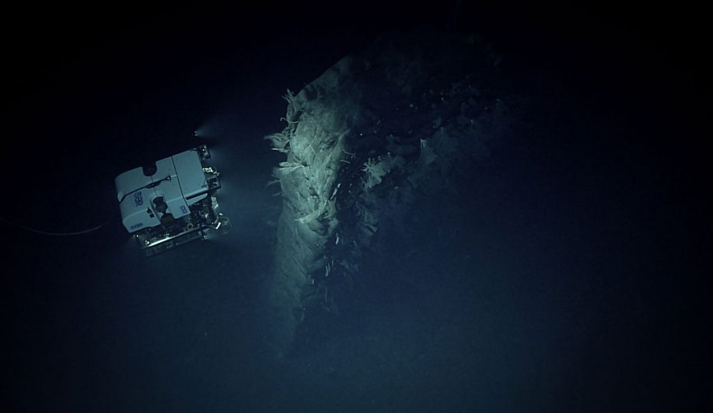 Massive Monolith Found in the Waters of Papahānaumokuākea