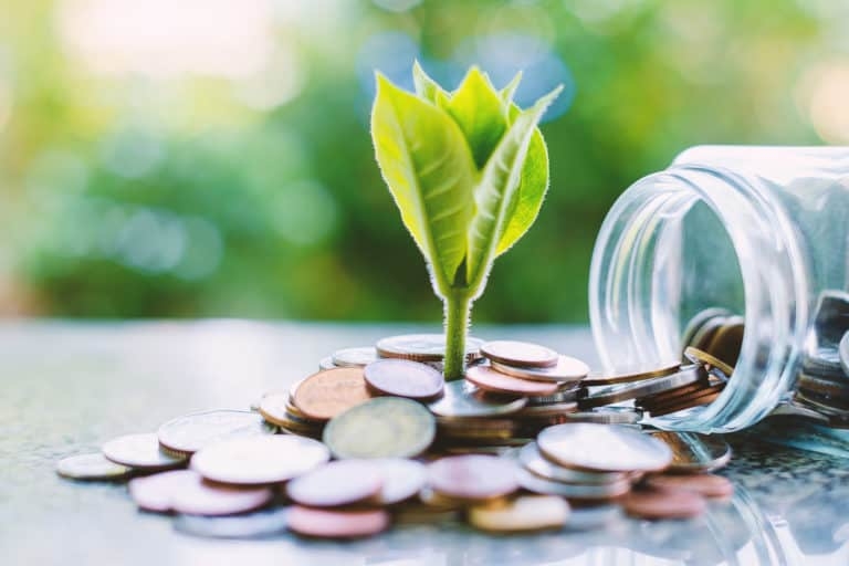 2 Brilliant Growth Stocks to Buy Now and Hold for the Long Term