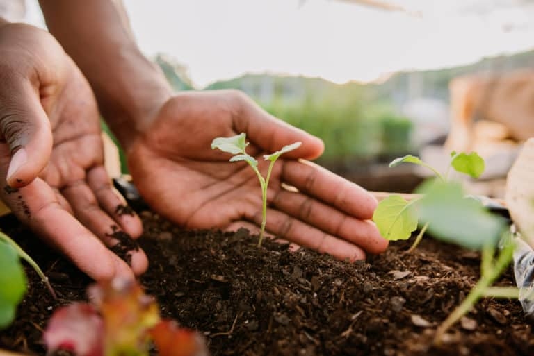 Dividend Investing: 2 Undervalued Stocks to Buy and Hold for the Next 5 to 8 Years