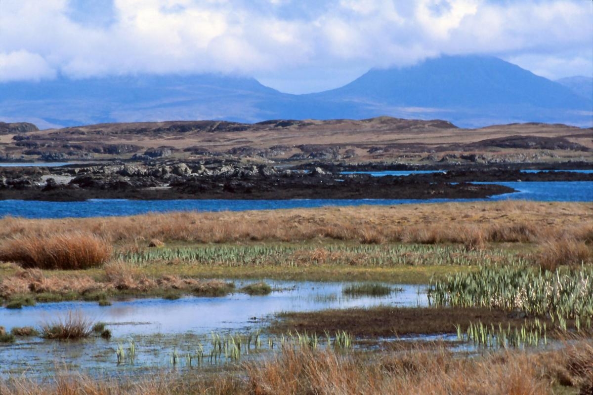 ‘Stunning' 11-acre croft put up for lease by Scottish island community firm