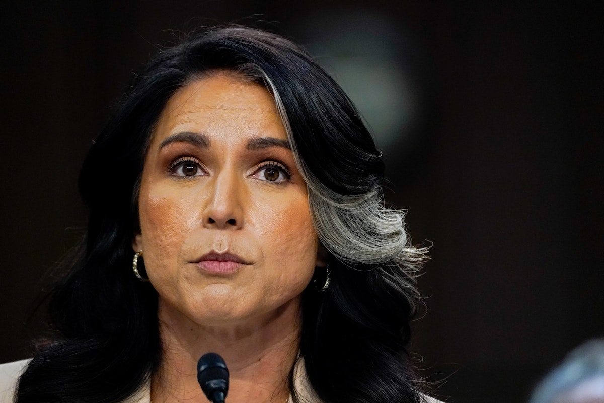 Trump Is About to Be Pissed at Tulsi Gabbard's Canada Admission