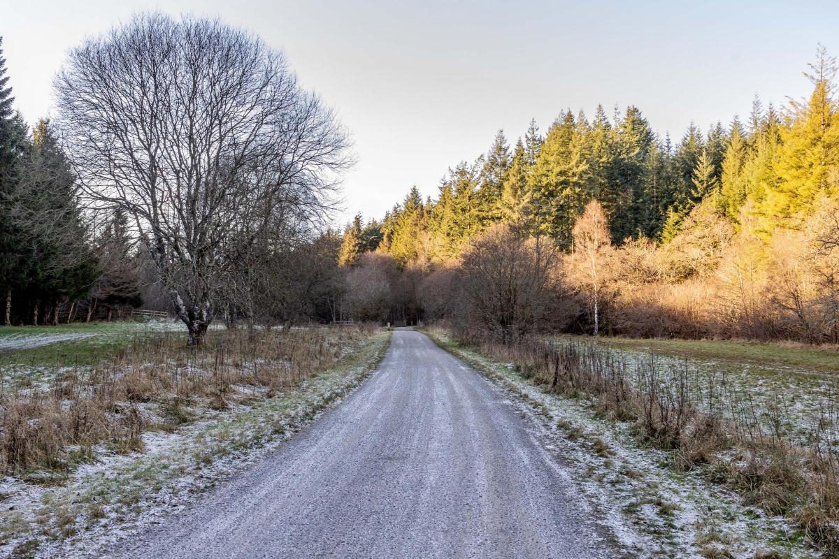 Everything you need to know about plans to transform Hamsterley Forest