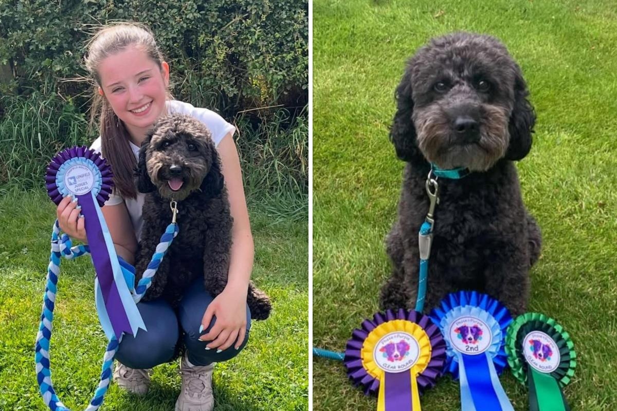 Teen puts Crufts dreams on hold after beloved pooch Benji diagnosed with cancer