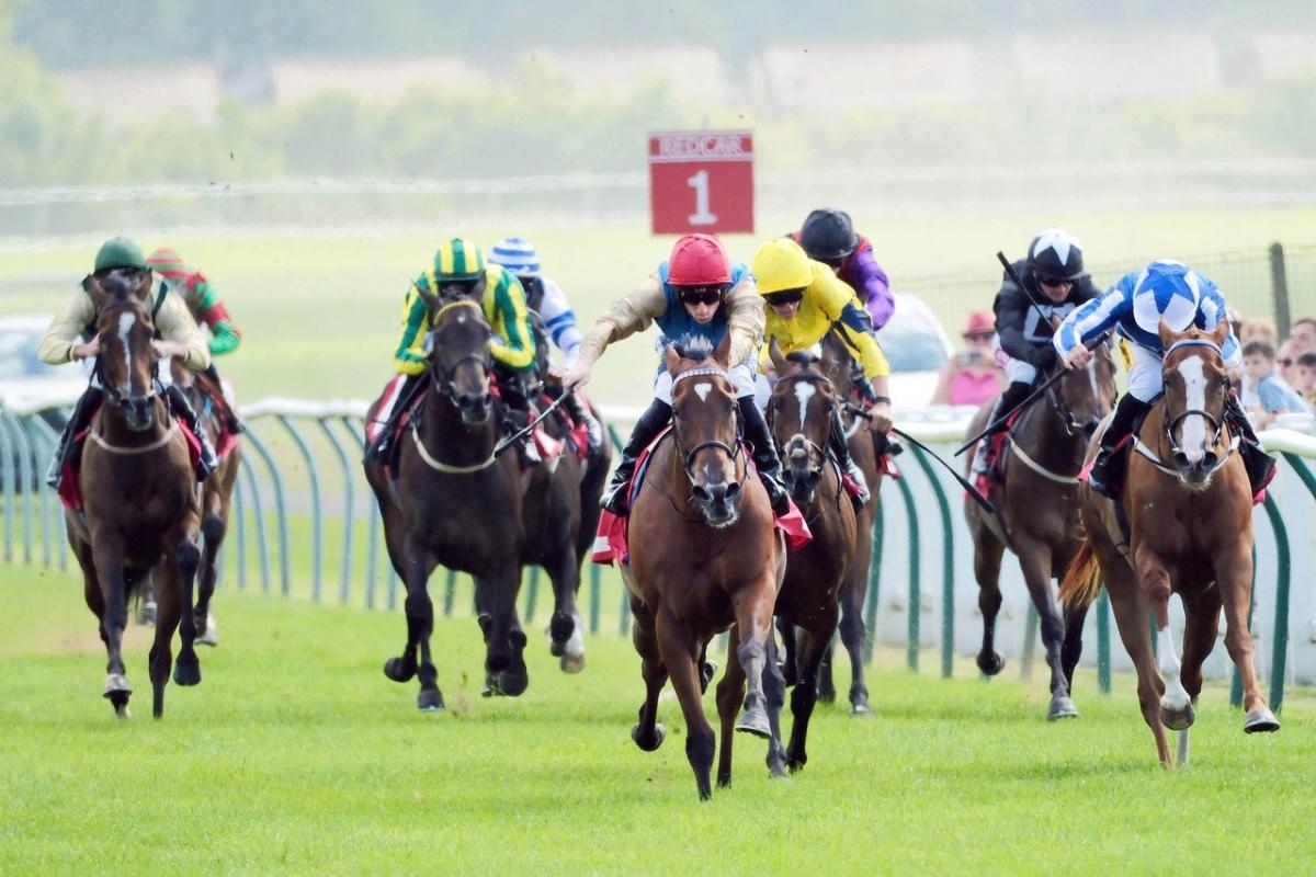 Redcar report: An extraordinary day of contrasts for winning trainer Beckett