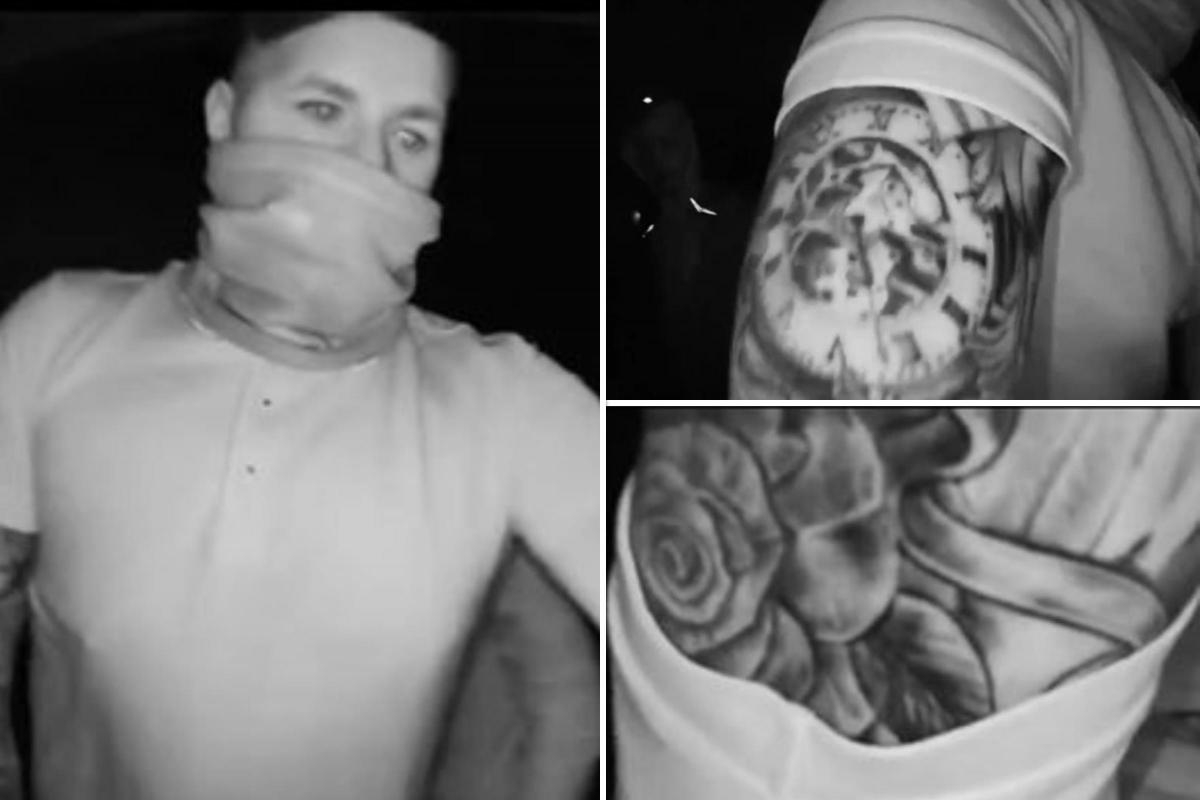Police hunt for snood-wearing tattooed man after 'burglary and assault' at home
