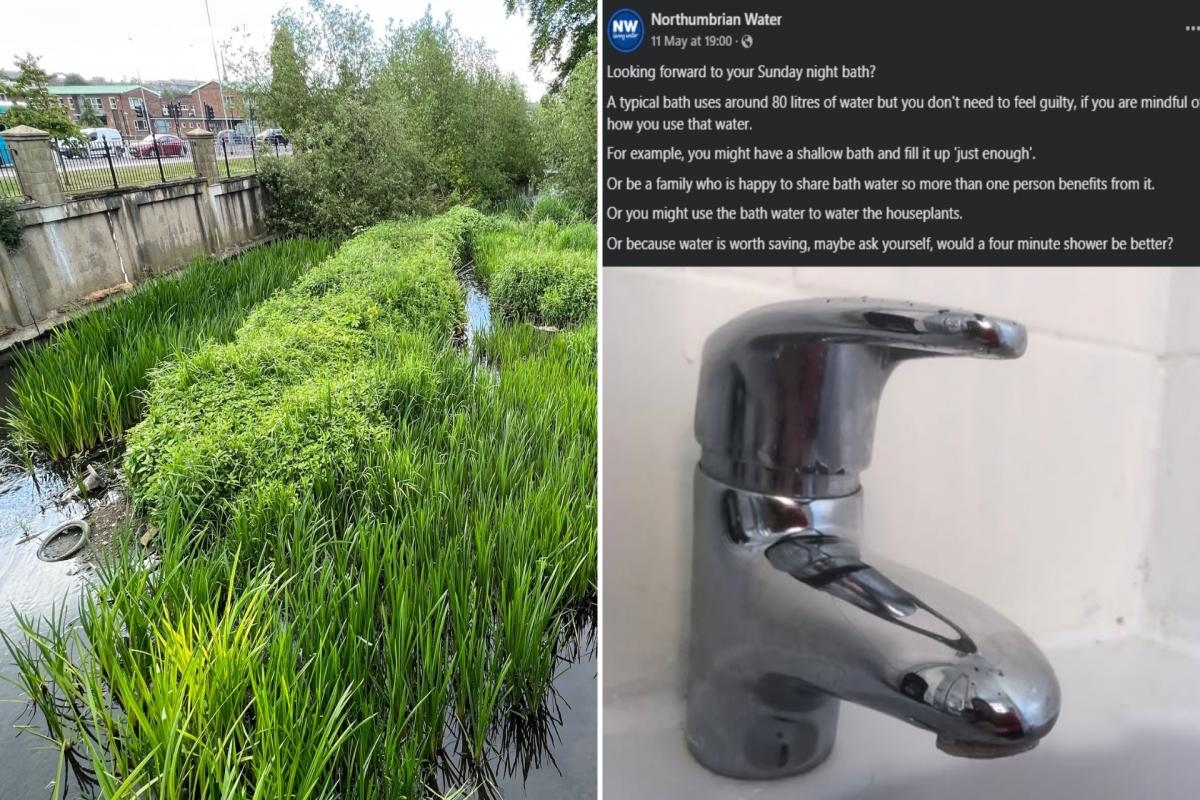 Water company advises customers to 'share baths' amid summer drought warning