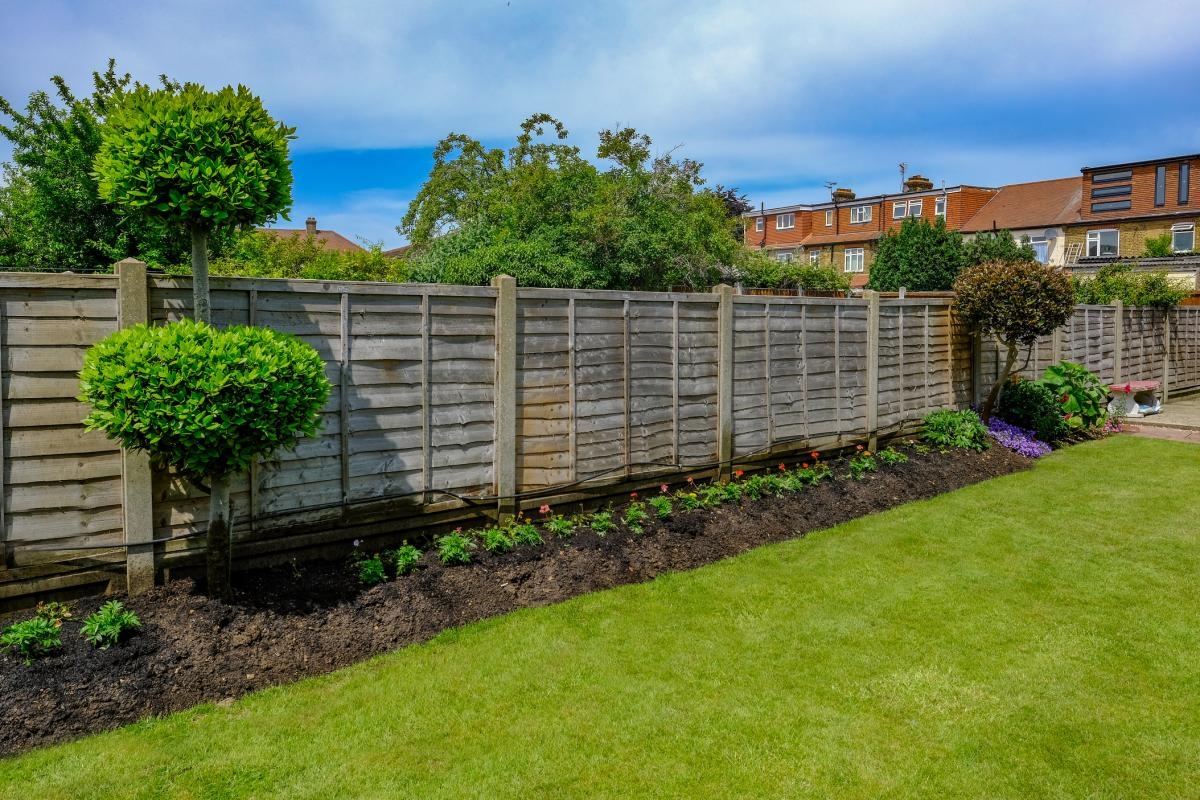 UK households urged to sprinkle their gardens with chilli powder this month