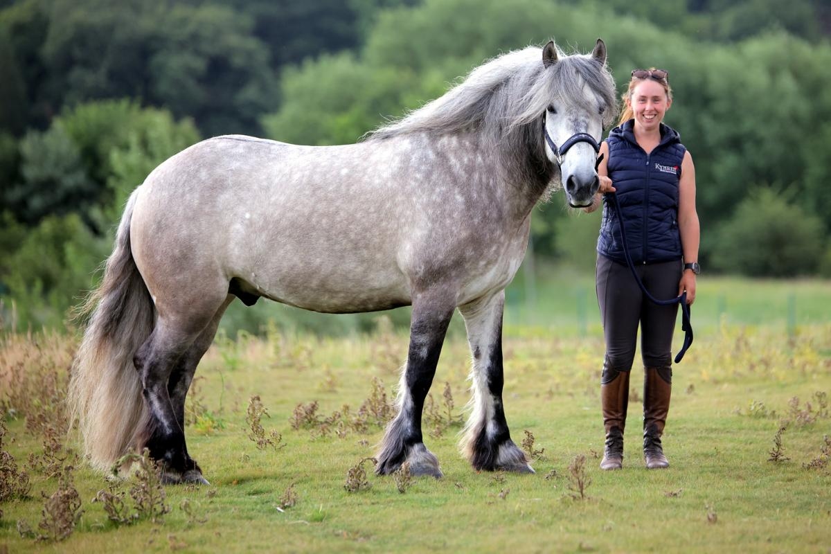 Rare breed of horse cherished by the late Queen joins Bishop Auckland theatre show