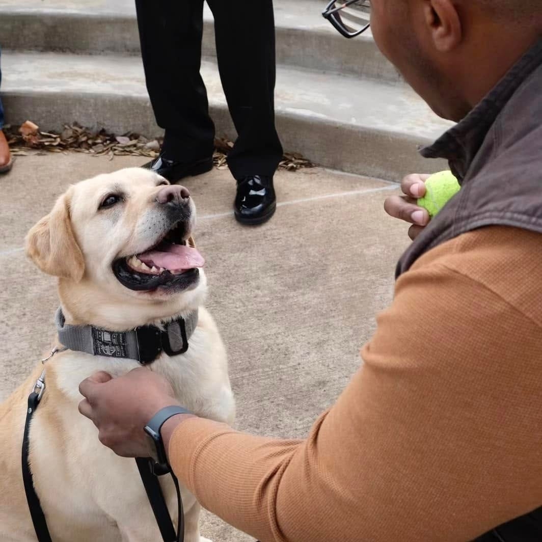 'Failure all the way around': Oklahoma County DA not filing charges after K9 died in hot car