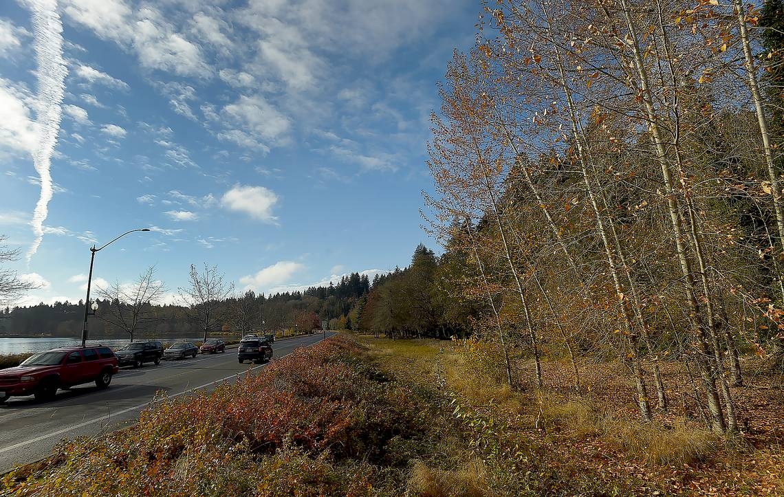Mile-long stretch of downtown Olympia road, park to close for maintenance