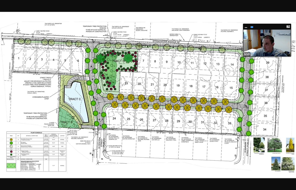 Could wetlands be in the way of proposed 39-home project in NE Olympia? Officials to find out