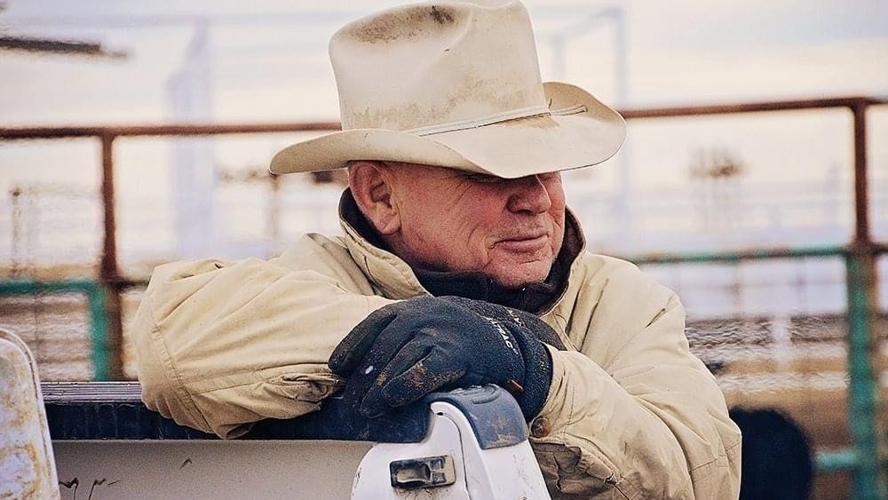 Touching Father's Day in Heaven Quotes to Celebrate a Dad's Eternal Love