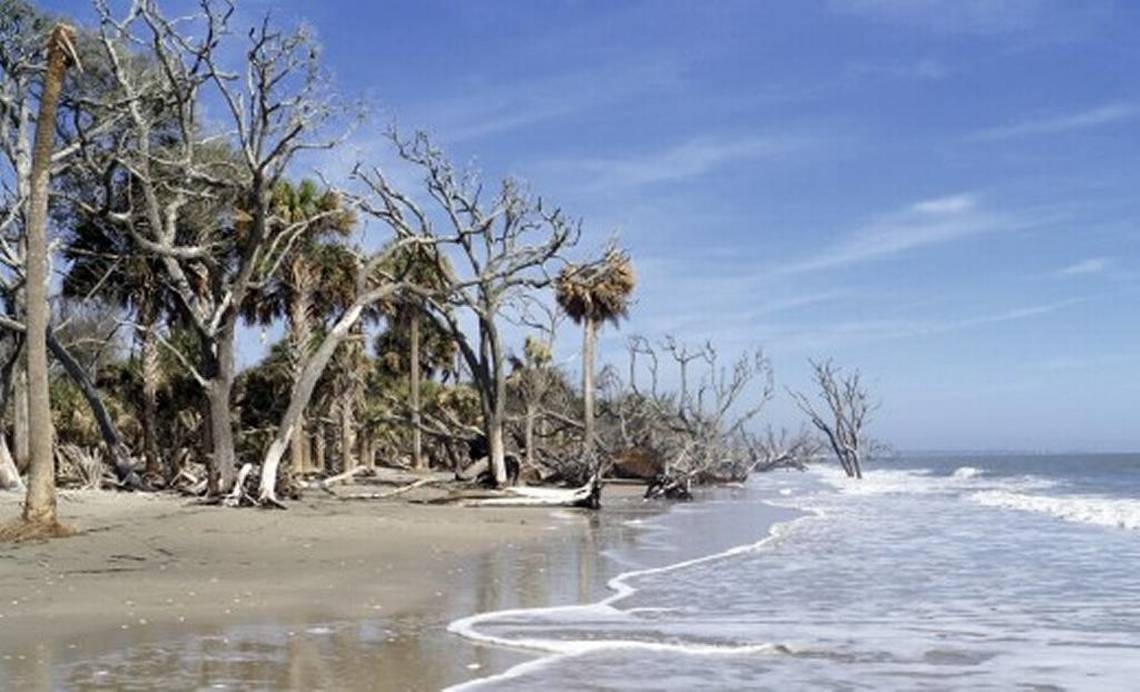 Human remains from a potential ‘long forgotten burial site' surface in SC