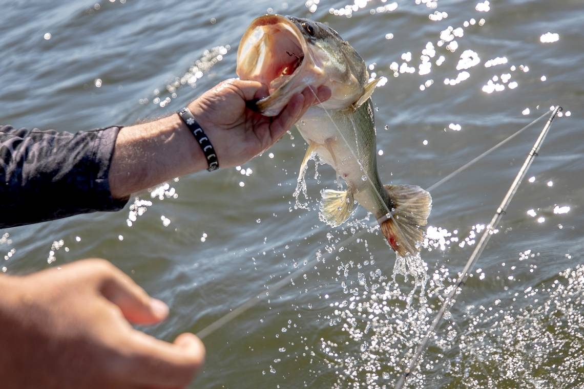 SC river the ‘most contaminated' from dangerous forever chemicals, study finds