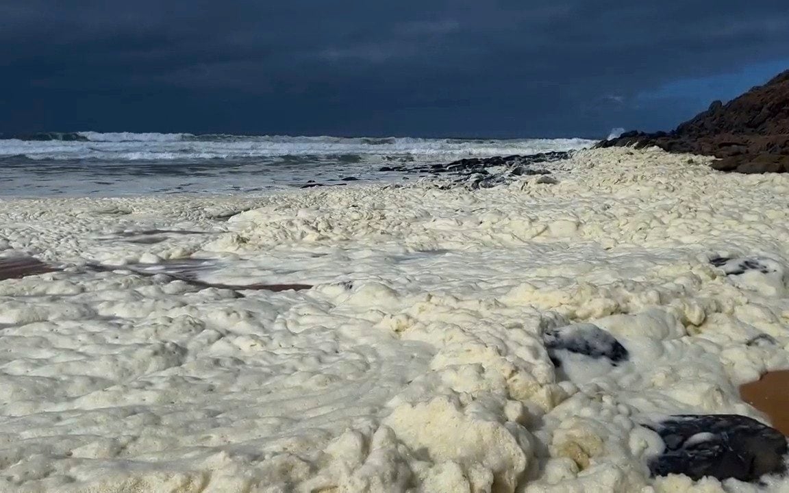 Toxic ‘sea foam' kills animals and leaves surfers with breathing problems and blurred vision