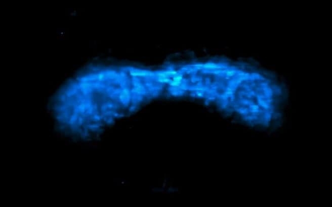 Watch: Moment heart begins to form captured for first time